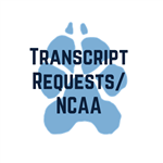 transcripts 
